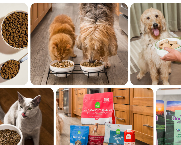 Ethically Sourced and Humanely Raised Dog Cat Food Open Farm