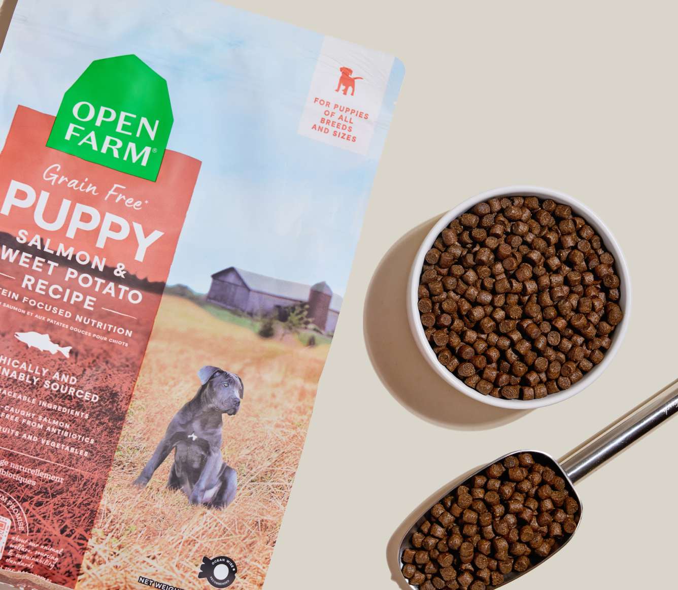 Salmon Grain-Free Puppy Kibble