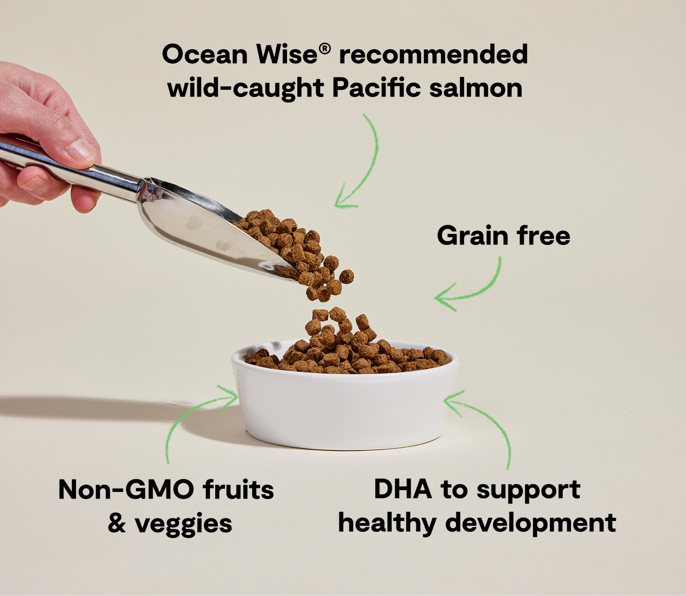 Salmon Grain-Free Puppy Kibble