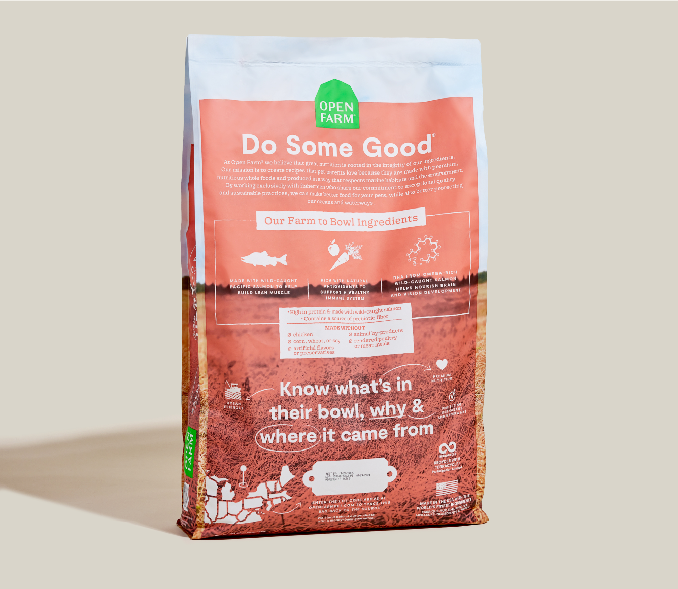 Salmon Grain-Free Puppy Kibble