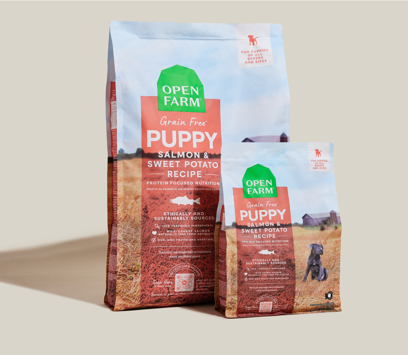 Salmon Grain-Free Puppy Kibble