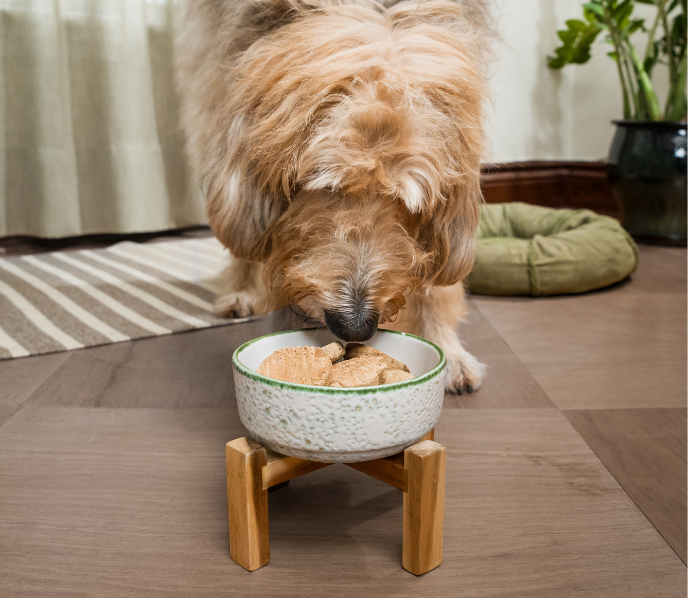 Freeze Dried Raw Puppie Patties Chicken Salmon Puppy Patties