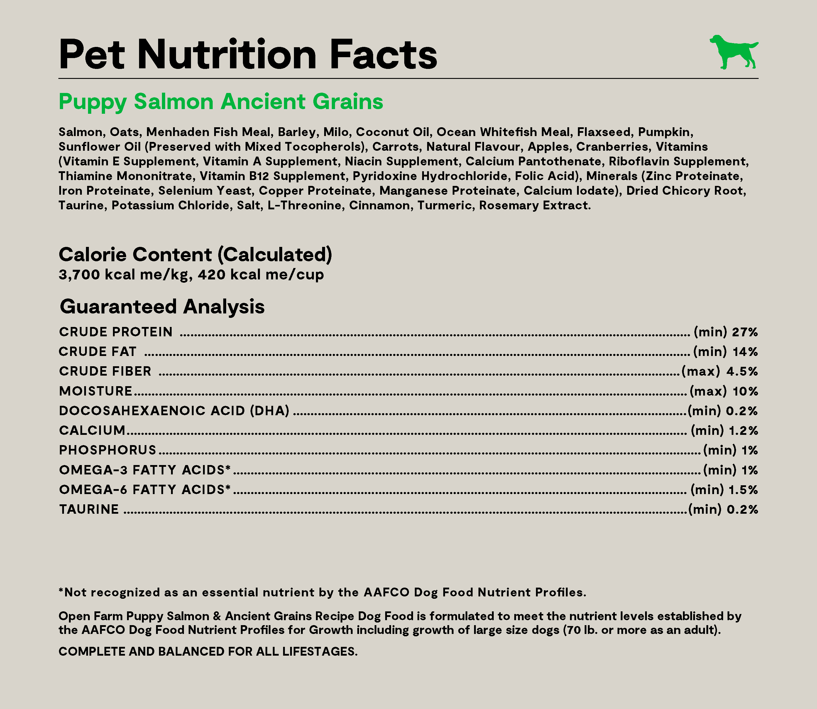 Salmon & Ancient Grains Puppy Kibble