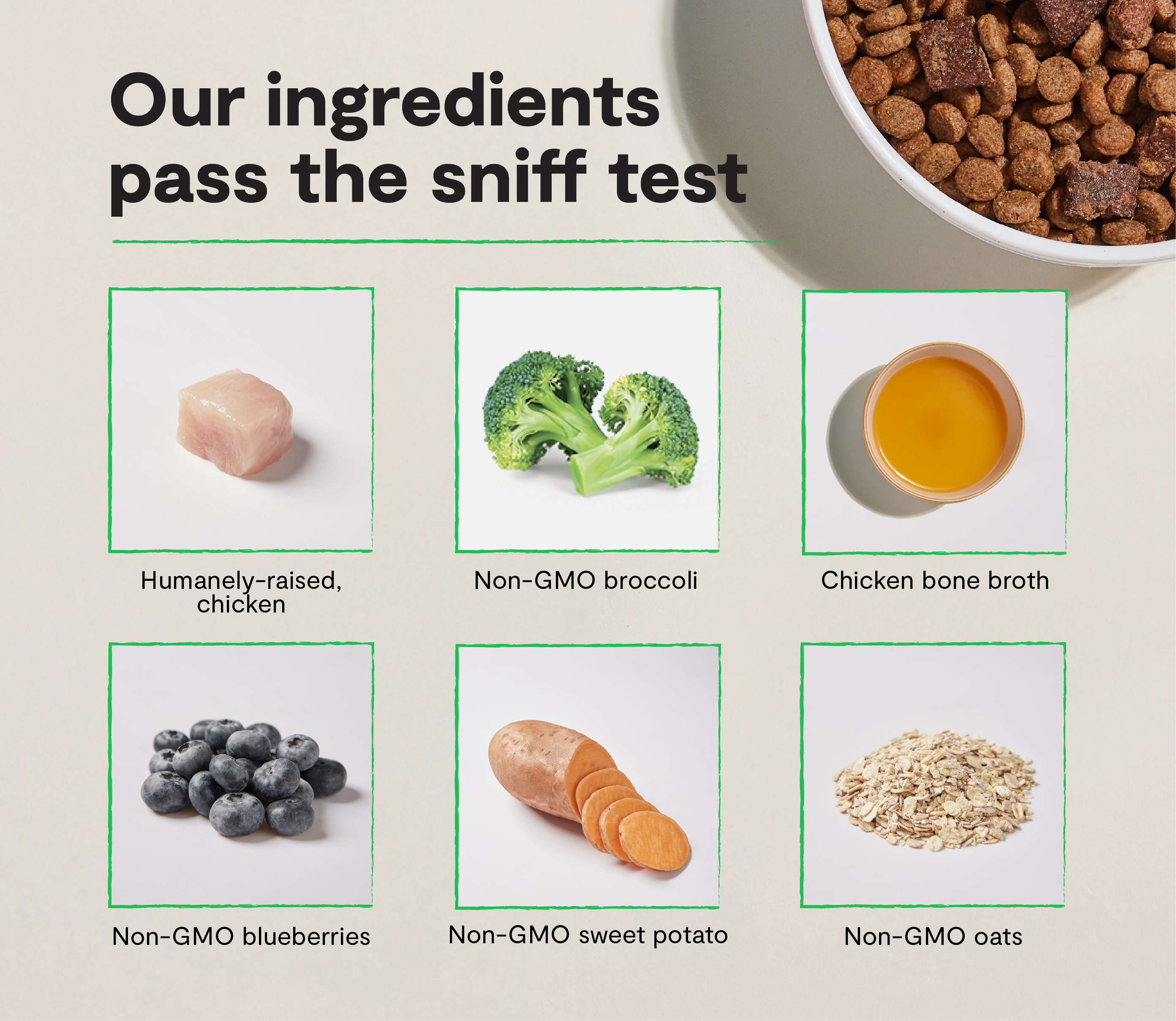 Epic Blend: Chicken & Superfoods | Open Farm