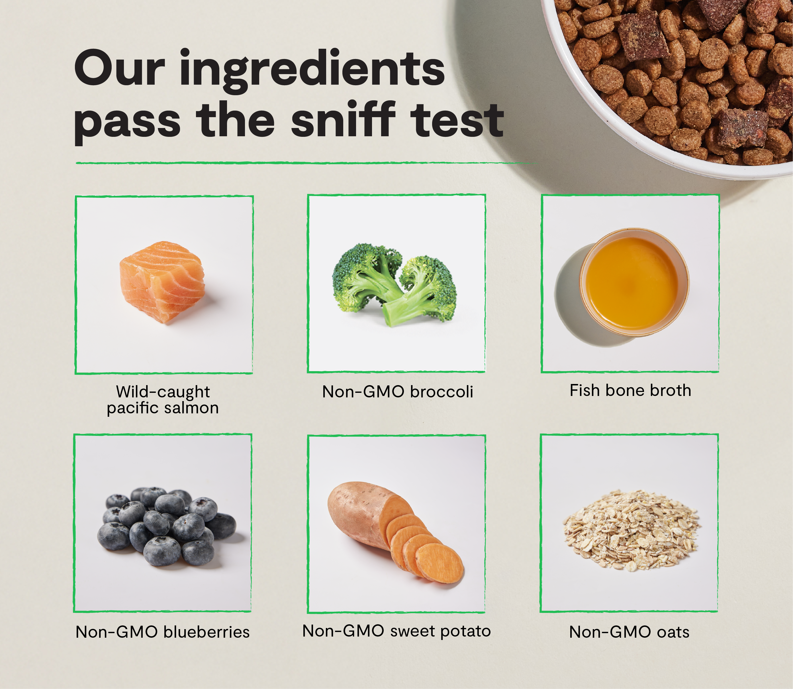 Epic Blend: Salmon & Superfoods | Open Farm