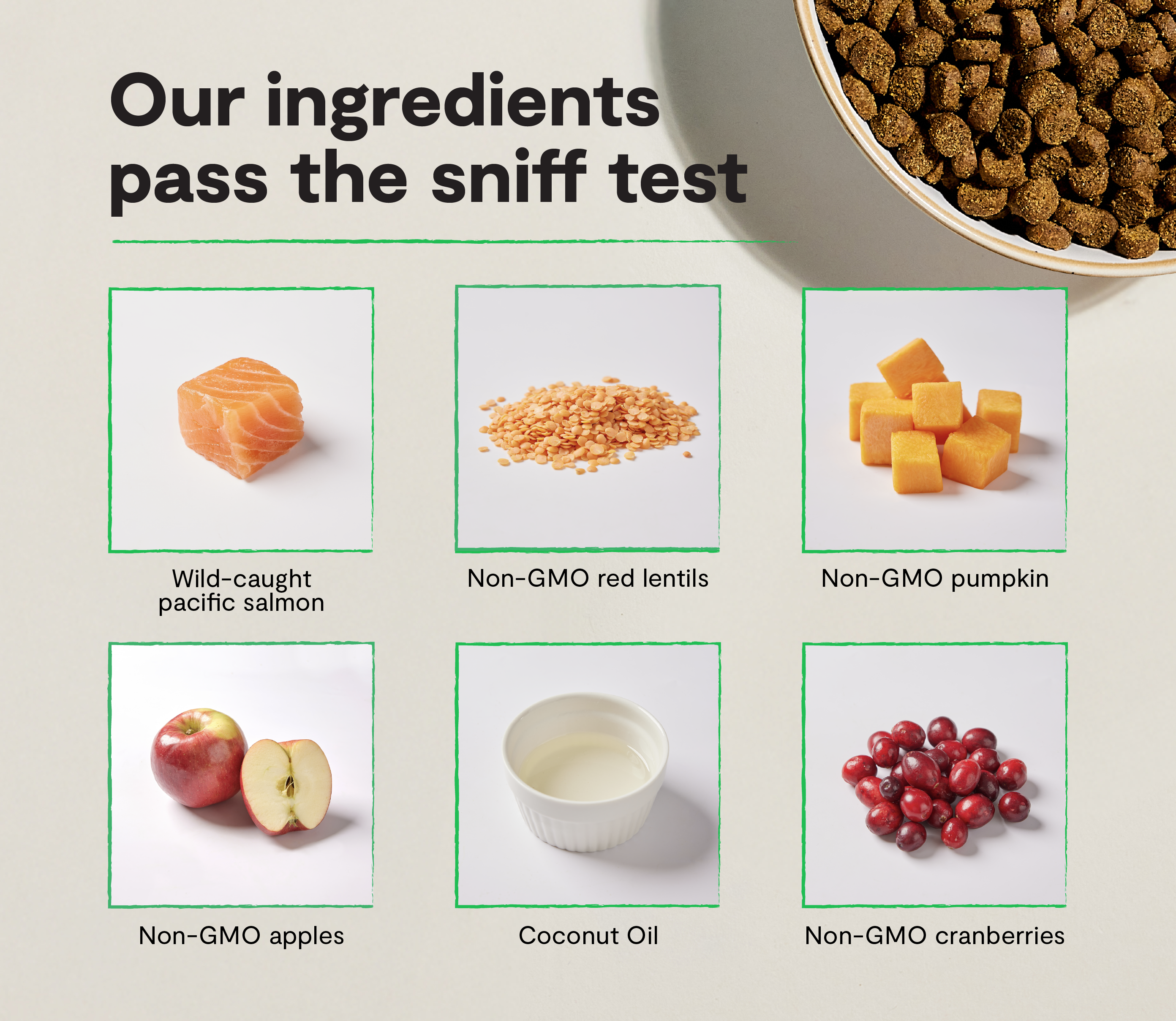 Wild-Caught Salmon Grain-Free Cat Kibble