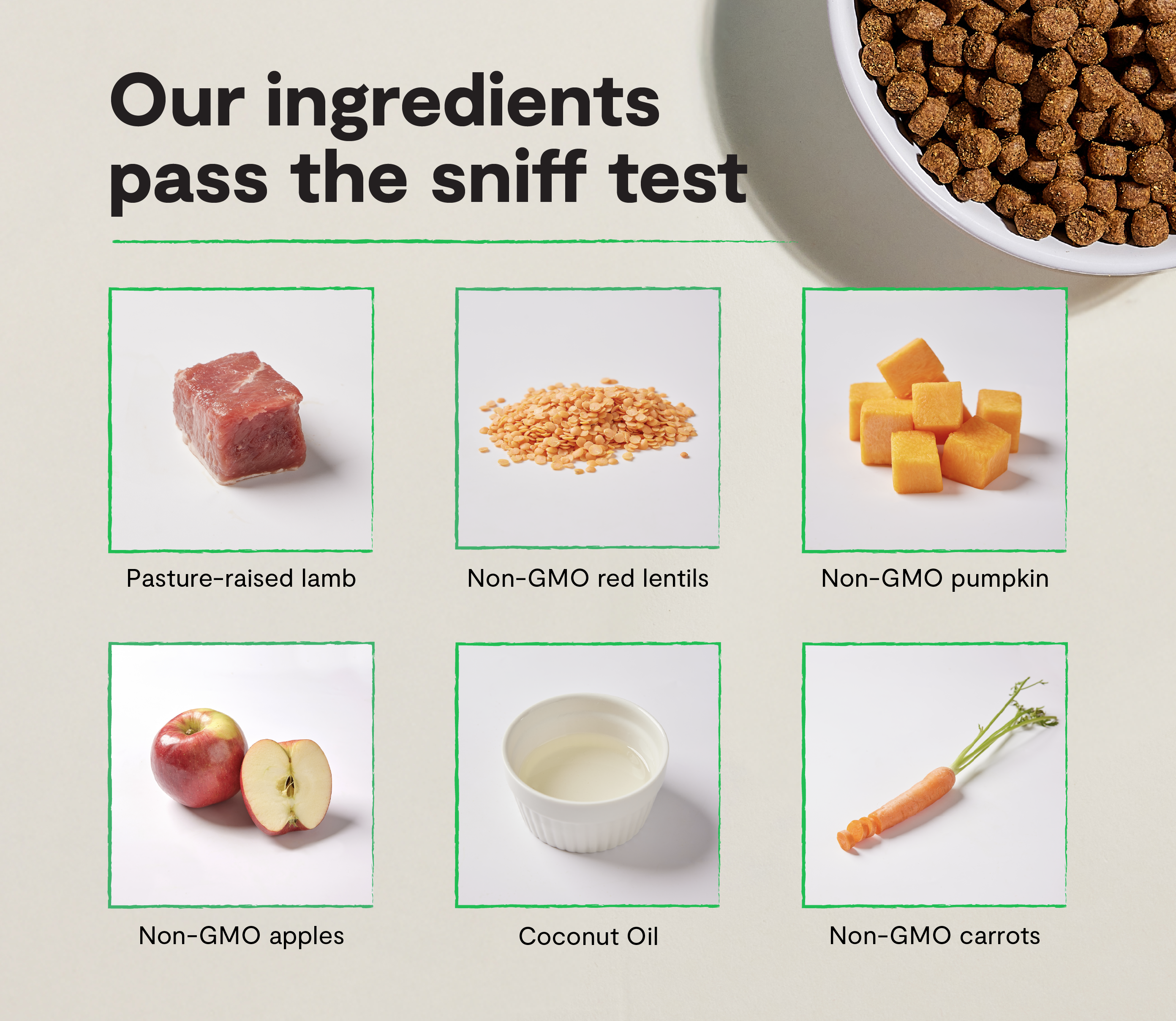 Pasture-Raised Lamb Grain-Free Dog Kibble