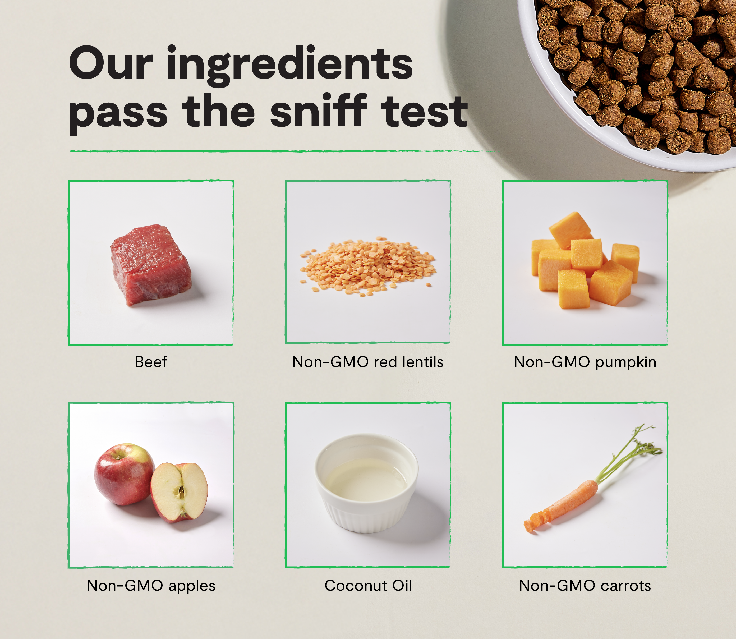 Grass-Fed Beef Grain-Free Dog Kibble