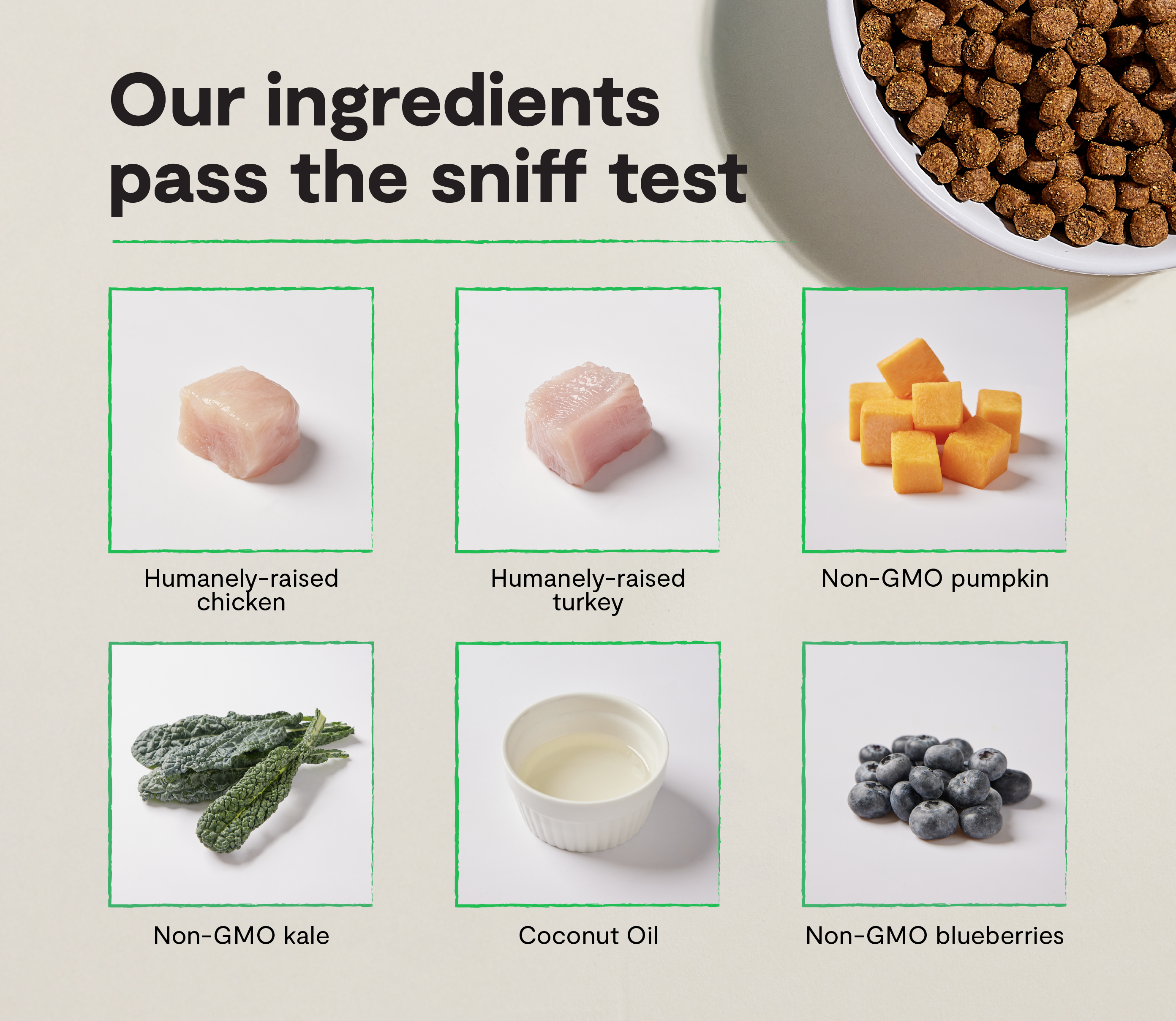 Small Breed Grain-Free Dog Kibble