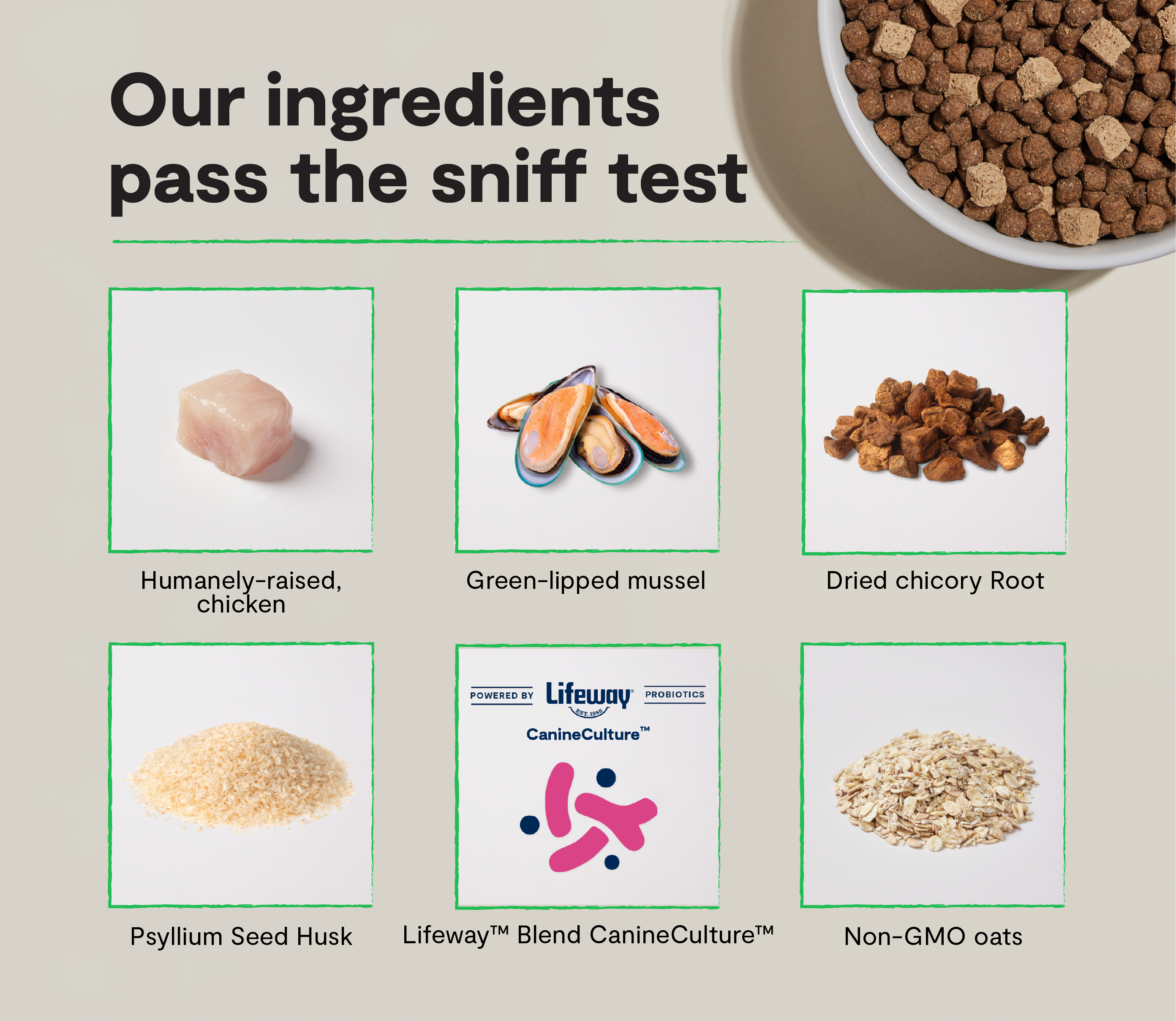GoodGut Harvest Chicken Dog Kibble