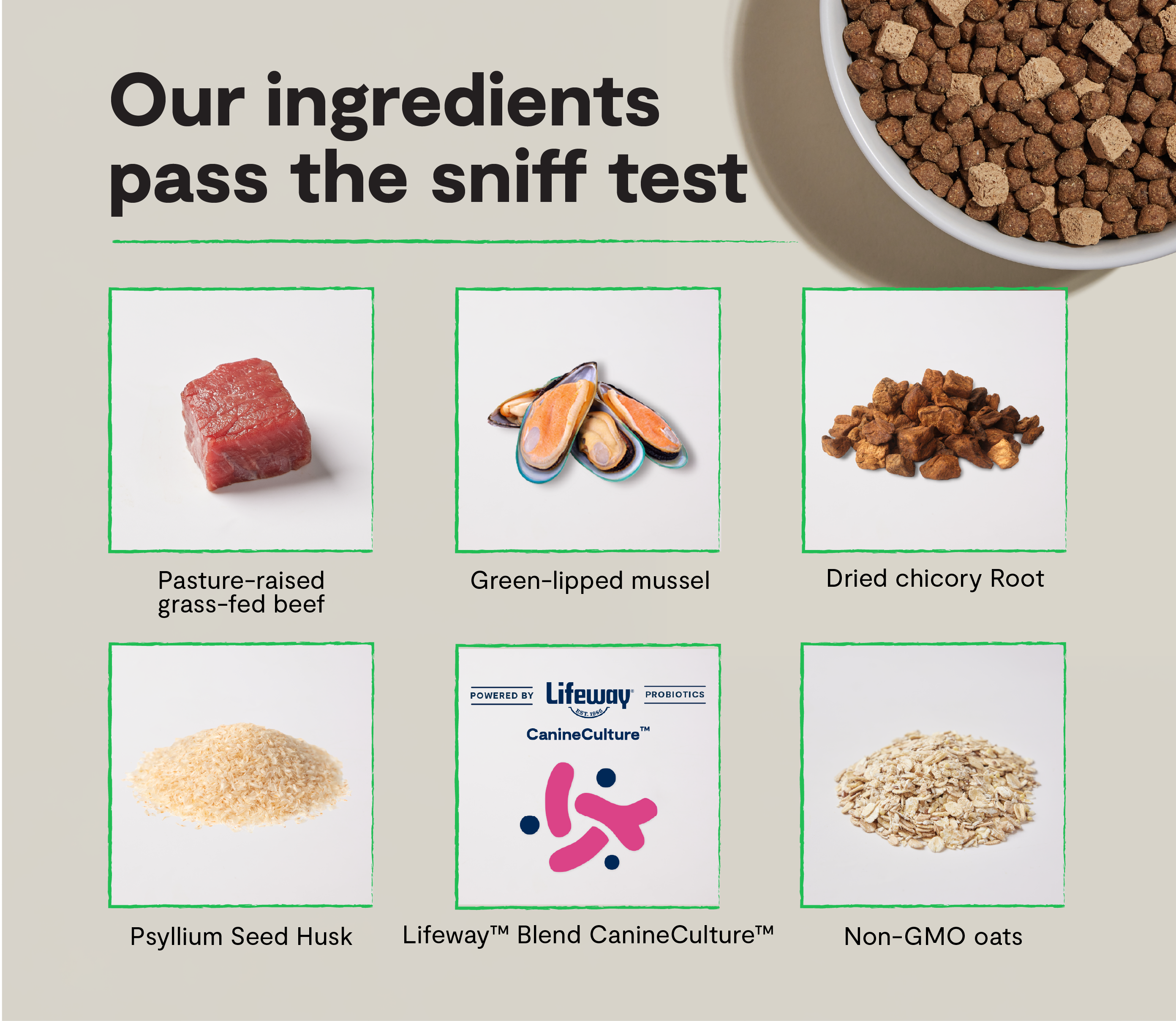 GoodGut Grass-Fed Beef Dog Kibble