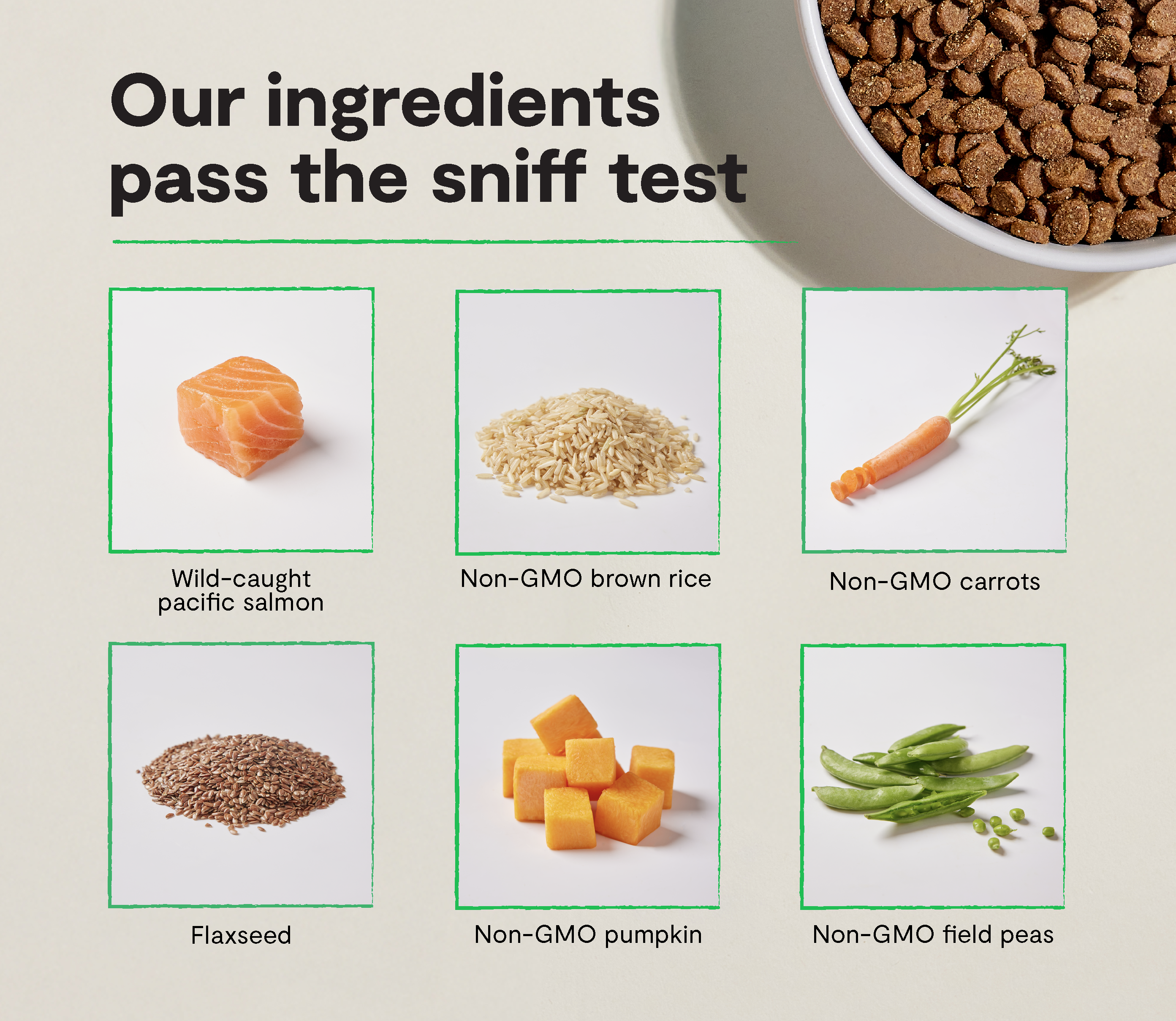 Wild-Caught Salmon & Brown Rice Cat Food: Goodbowl™ - Open Farm
