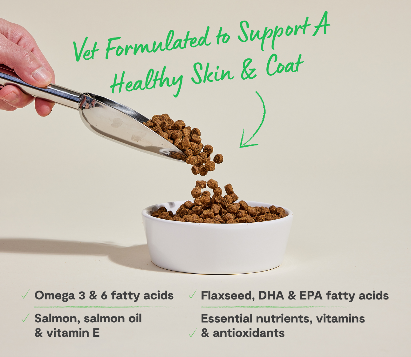 Skin and Coat Salmon Recipe Open Farm - Main Image