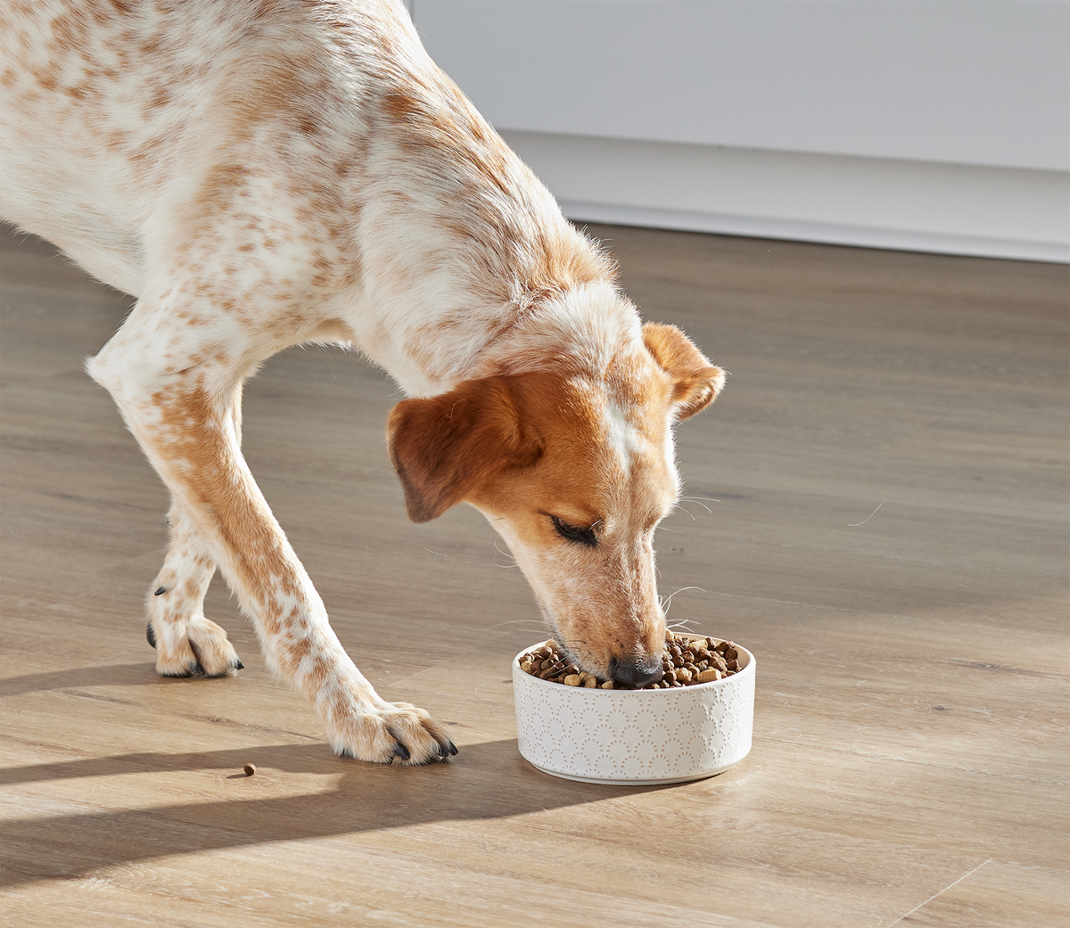 RawMix Great Plains Grain-Free Dog Kibble – Open Farm