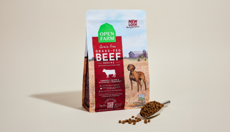Beautiful view of Grain Free Dog Kibble With Turkey And Blackberries For Studies On Gut Health