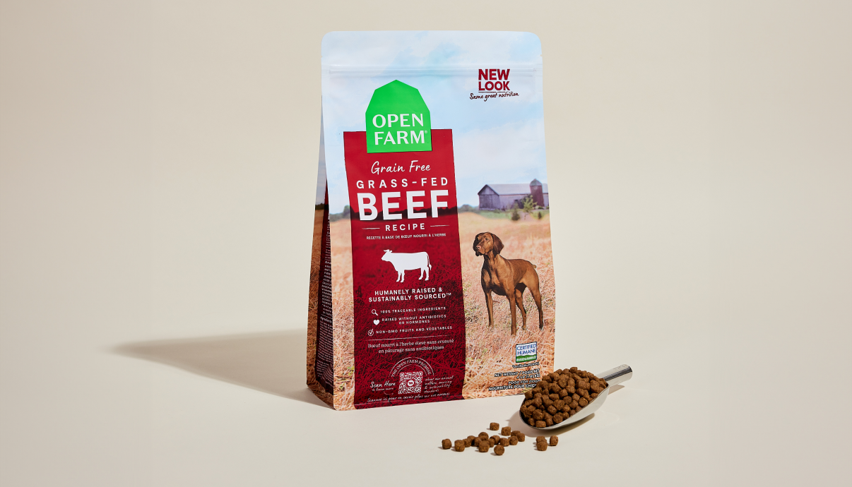 Best Kibble Options for Dogs and Cats | Open Farm Pet