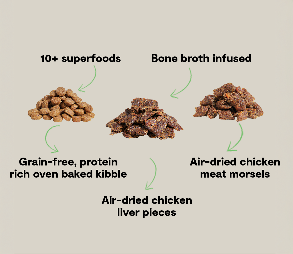 Epic Blend Chicken & Superfood Grain-Free Dog Kibble