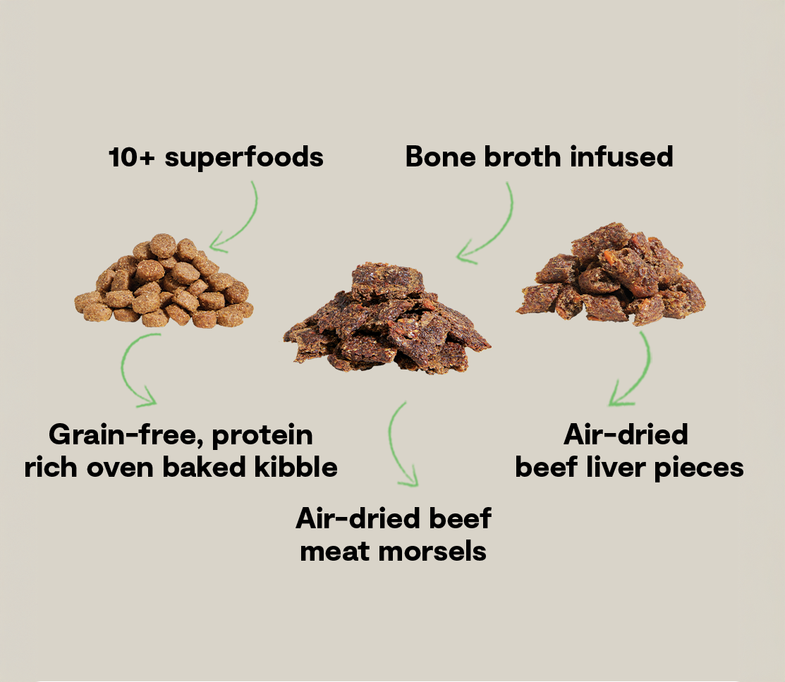 Epic Blend Beef & Superfood Grain-Free Dog Kibble
