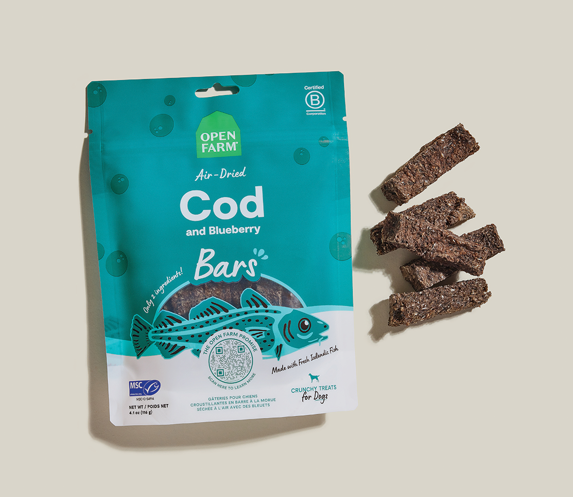 Icelandic Air-Dried Cod & Blueberry Dog Treat Bars