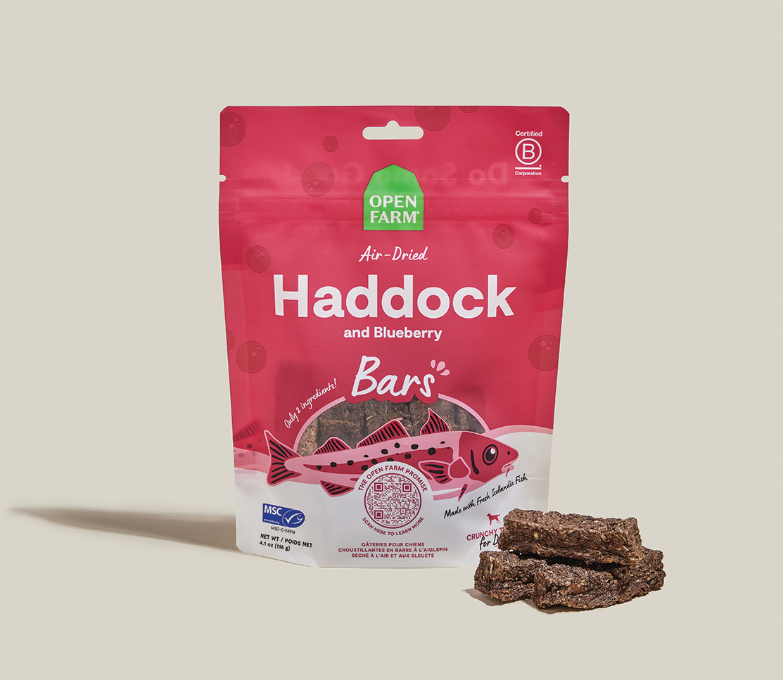 Icelandic Air-Dried Haddock & Blueberry Dog Treat Bars