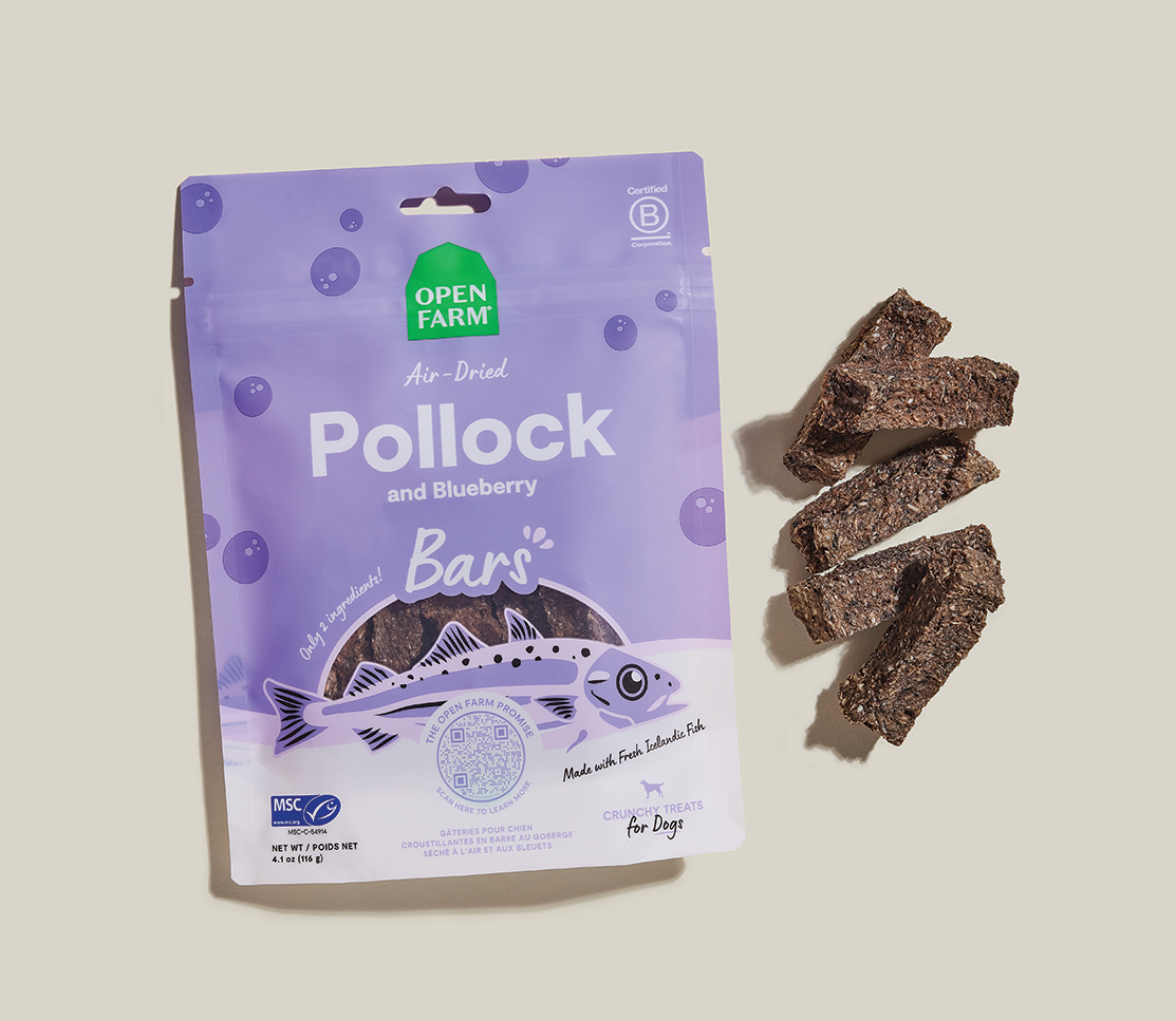 Icelandic Air-Dried Pollock & Blueberry Dog Treat Bars