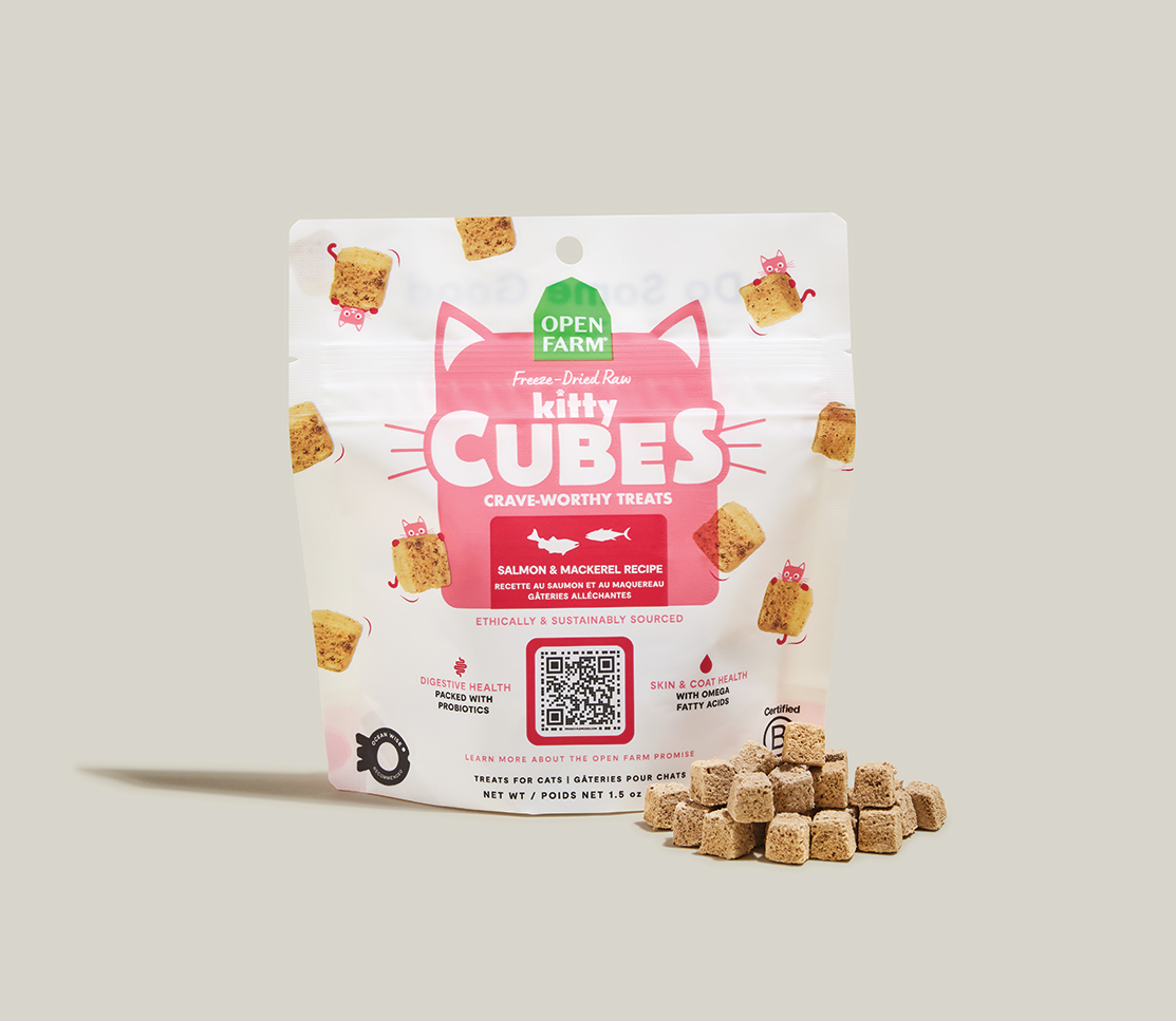 Salmon & Mackerel Kitty Cube Treats – Open Farm