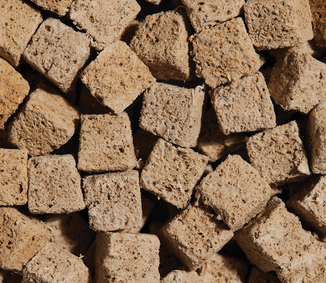 Salmon & Mackerel Kitty Cube Treats