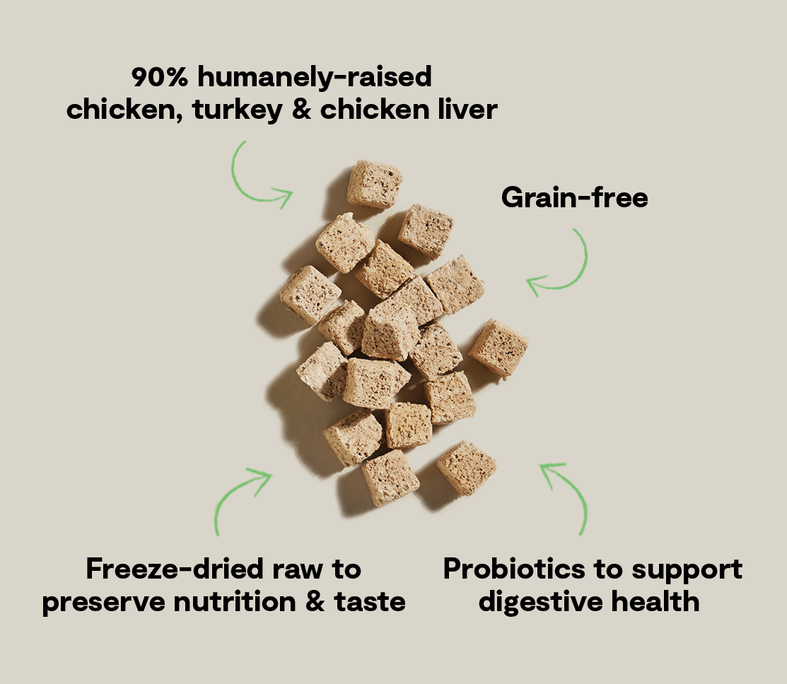 Chicken & Turkey Kitty Cube Treats – Open Farm Chicken & Turkey Kitty Cube Treats – Open Farm
