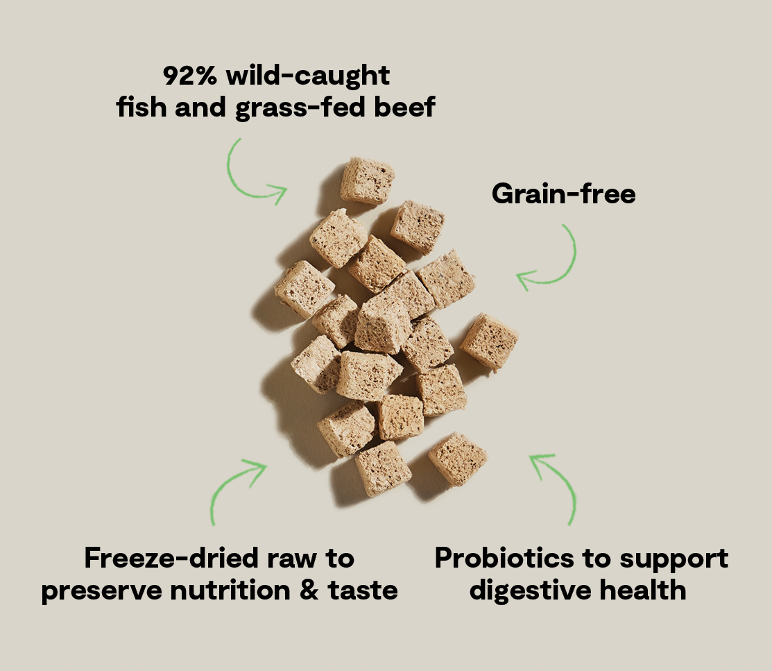 Surf & Turf Kitty Cube Treats