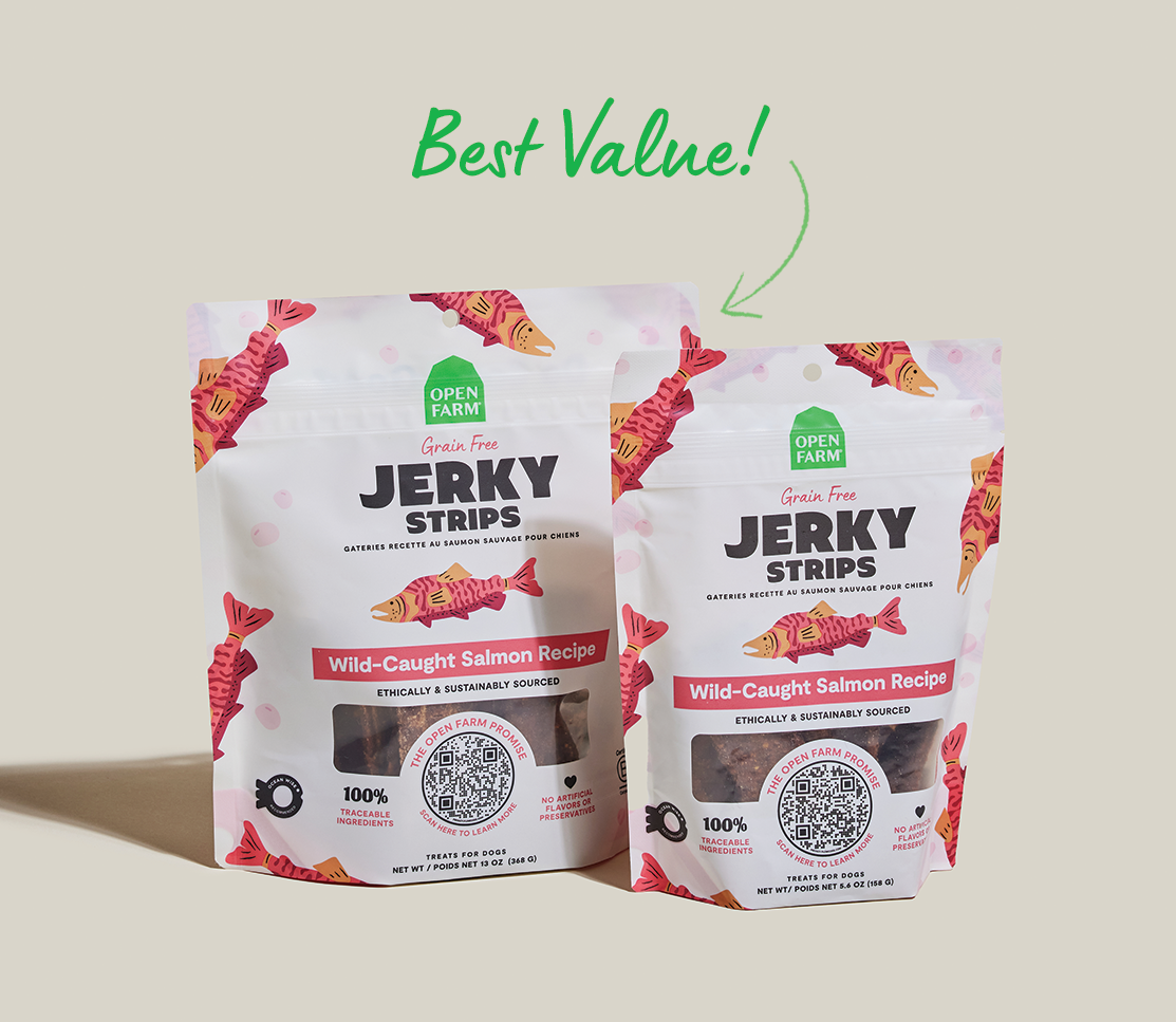 Grain-Free Wild-Caught Salmon Jerky Strips
