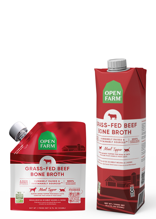 Grass-Fed Beef Bone Broth for Dogs by Open Farm
