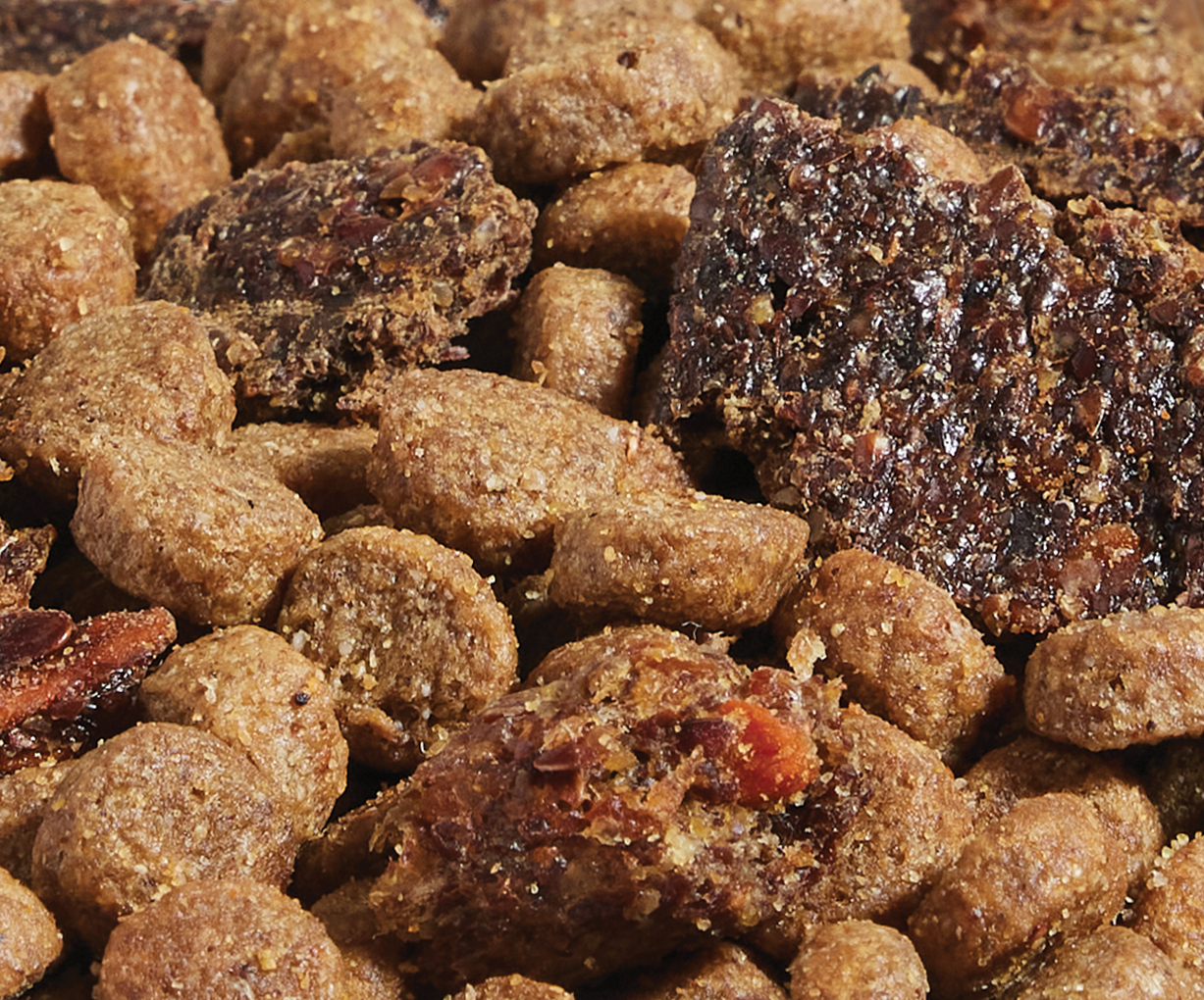 Epic Blend Beef & Superfood Grain-Free Dog Kibble