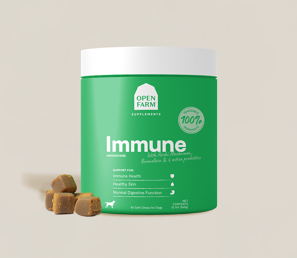 Immune Health Supplement Chews for Dogs