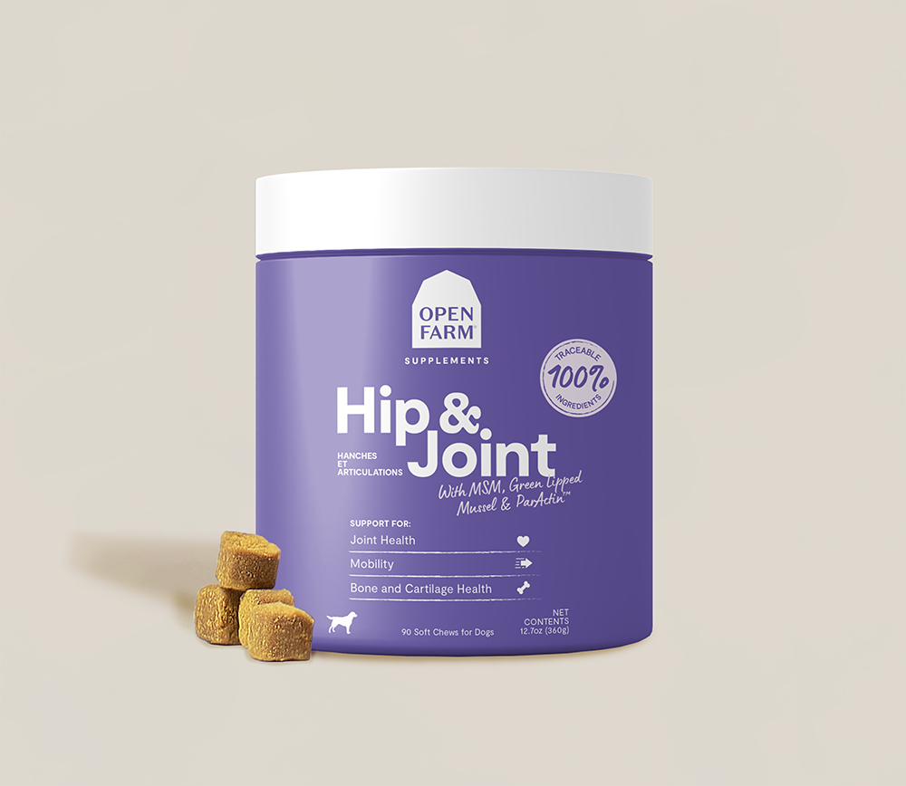 Best Dog Food for Hip And Joint Health: Top Picks for 2024