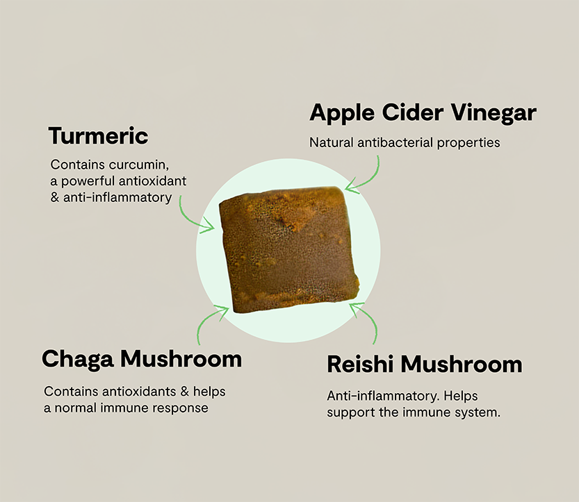 Immune Health Supplement Chews for Dogs