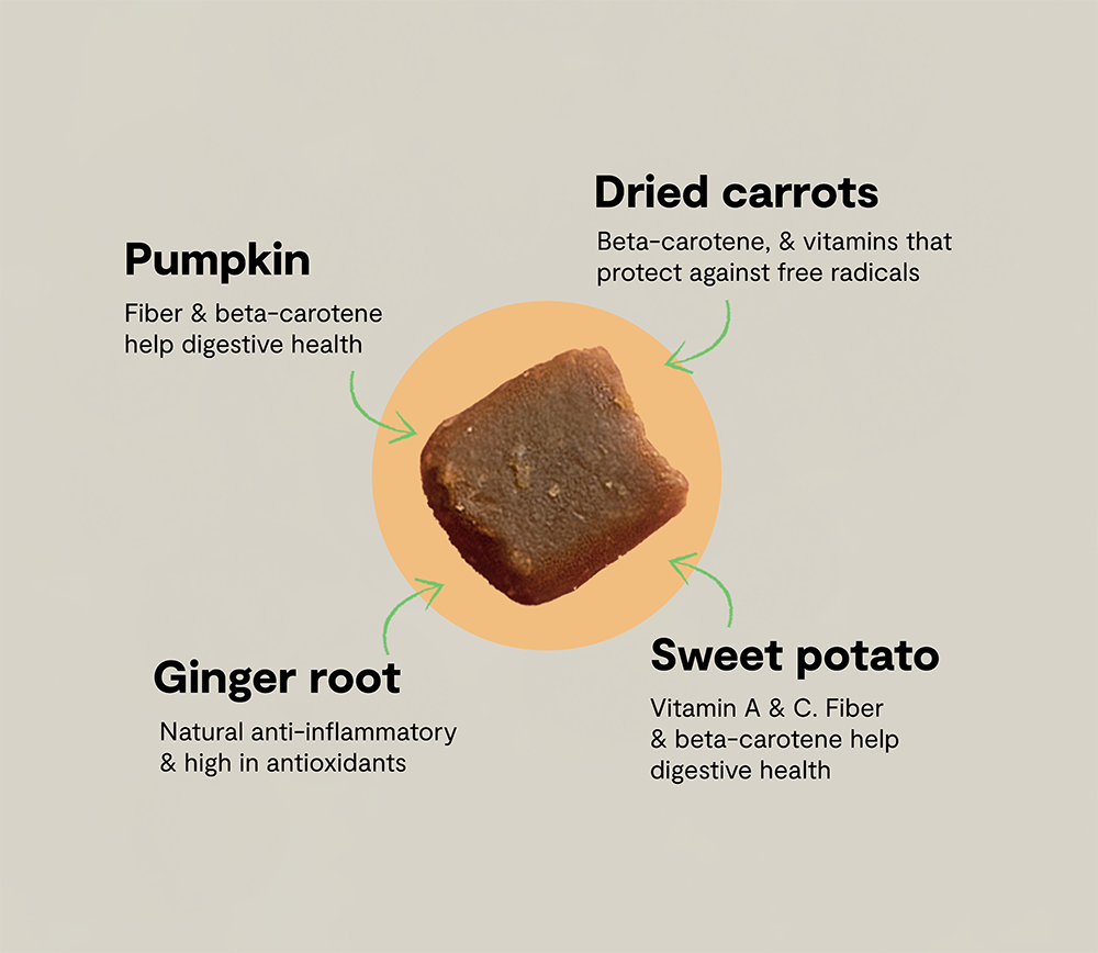 Probiotic Food Supplement Chews for Dogs