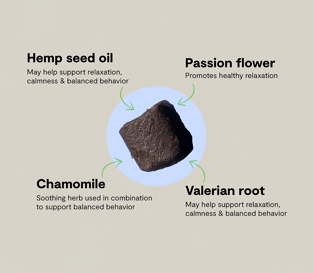 Calming Health Supplement Chews for Dogs