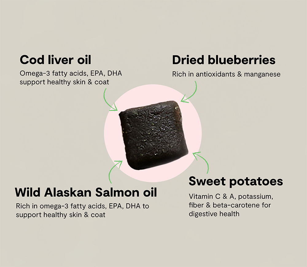 Skin & Coat Food Supplement Chews for Dogs