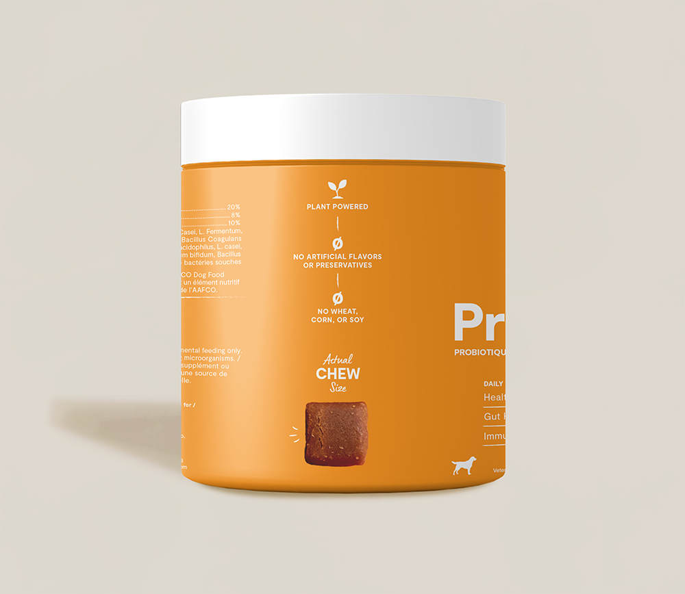 Probiotic Food Supplement Chews for Dogs