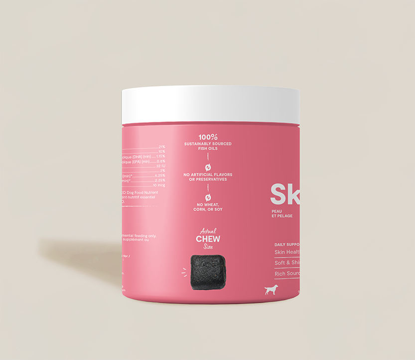 Skin & Coat Food Supplement Chews for Dogs