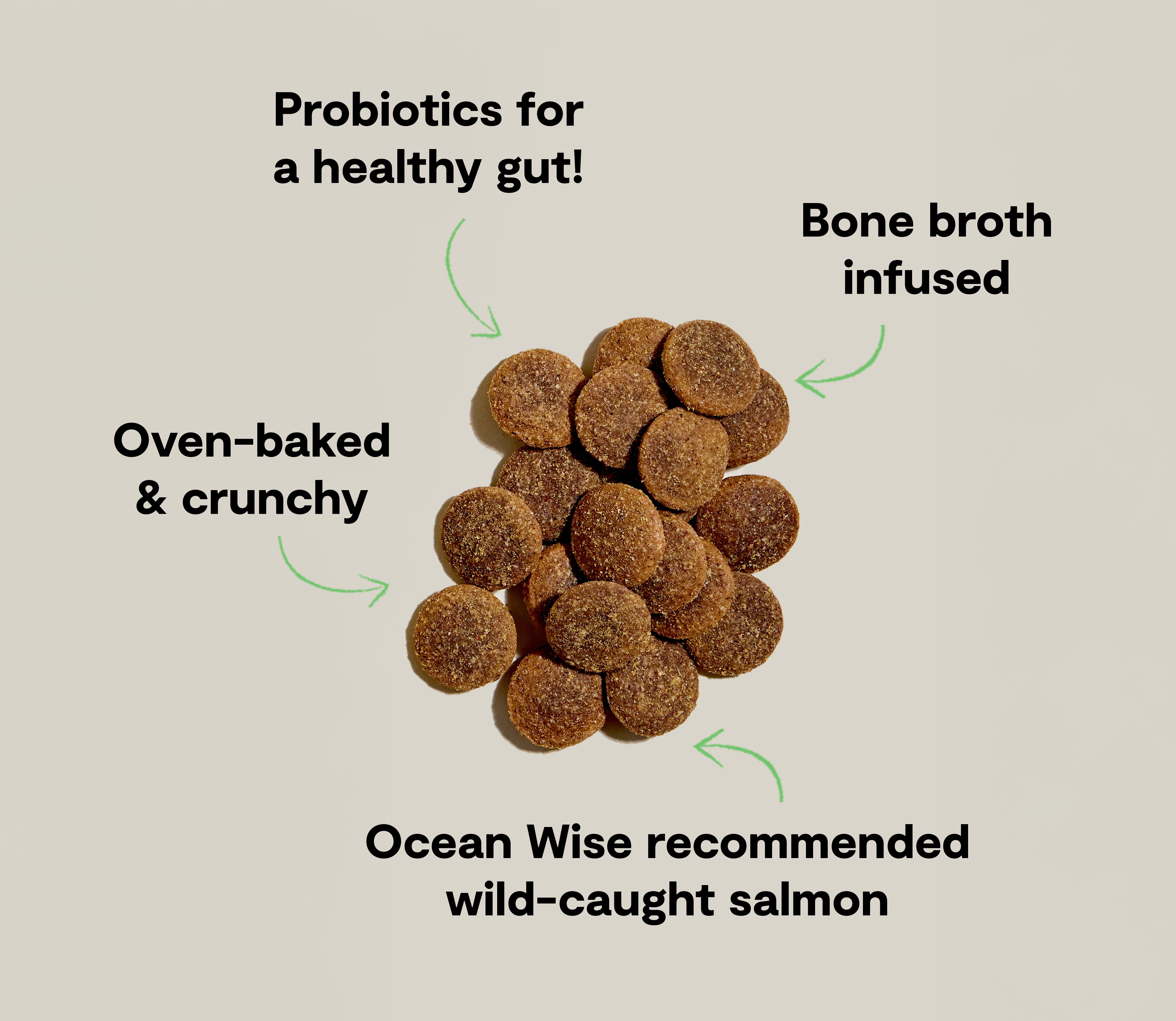 Better Biscuits Wild-Caught Salmon & Oatmeal Treats