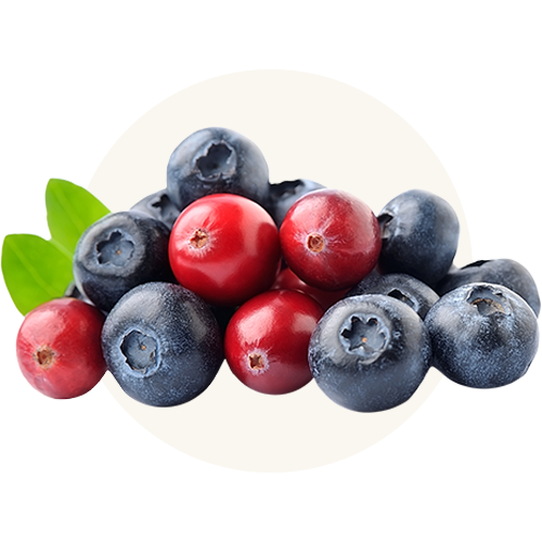 Organic Cranberries and Blueberries