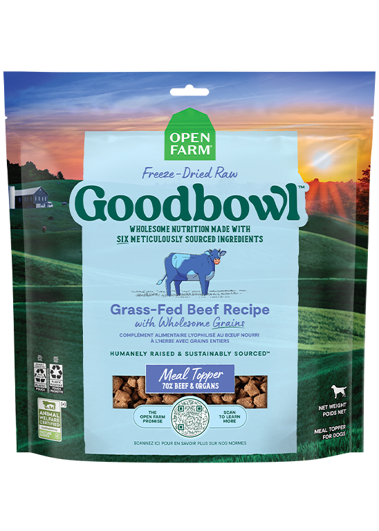 Goodbowl™ Grass-Fed Beef Freeze Dried Raw Morsels for Dogs by Open Farm