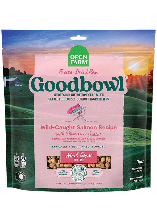 Goodbowl™ Wild-Caught Salmon Freeze Dried Raw Morsels for Dogs by Open Farm