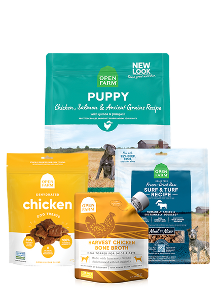 Ancient Grains Puppy Pack Puppy Food Starter Kit Open Farm