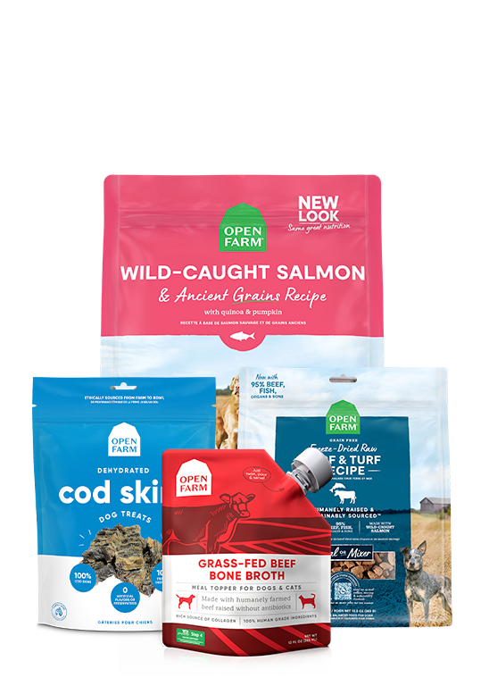 Best Sellers Dog Bundle by Open Farm