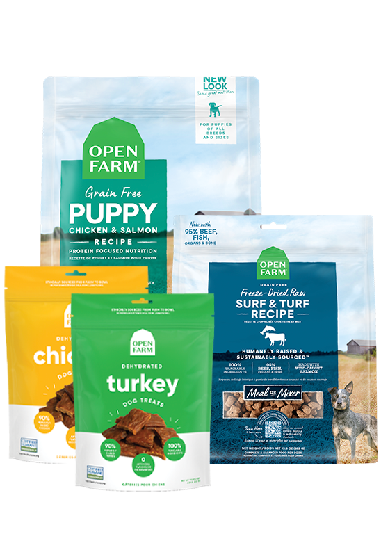 Puppy Essentials Pack by Open Farm