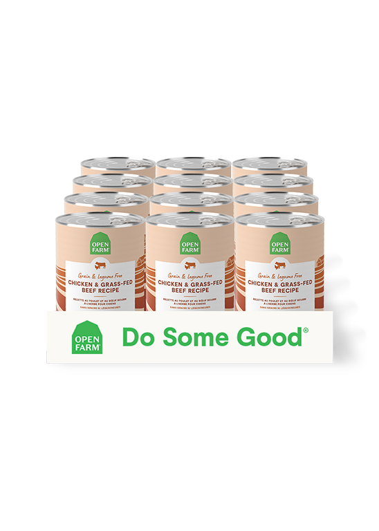 Chicken & GrassFed Beef Paté Recipe for Dogs Open Farm