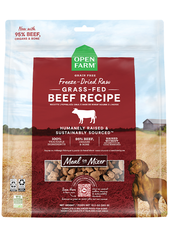 Grass-Fed Beef Freeze Dried Raw Morsels for Dogs by Open Farm
