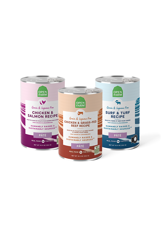 Pâté Variety Pack for Dogs by Open Farm